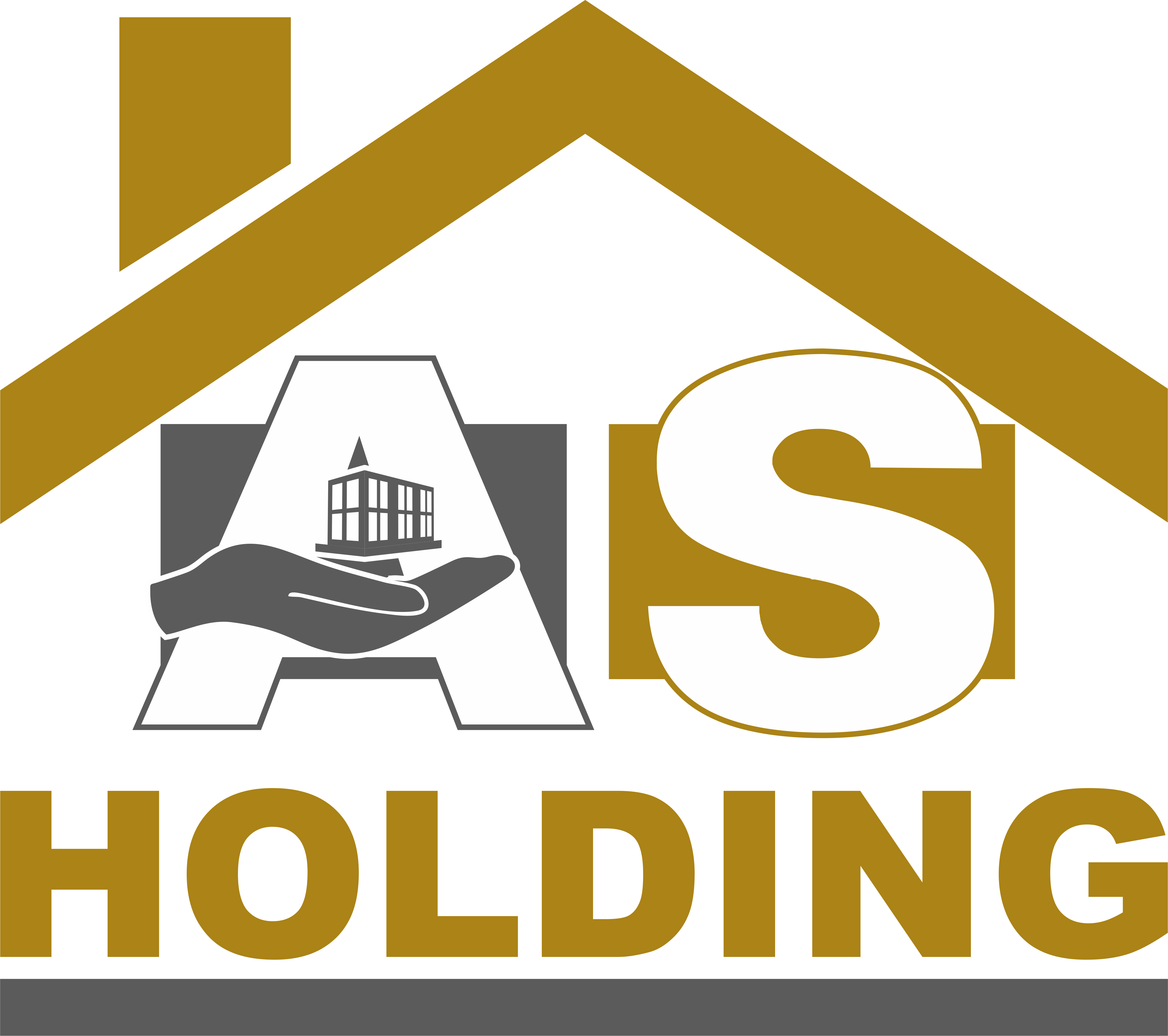 AS Holding